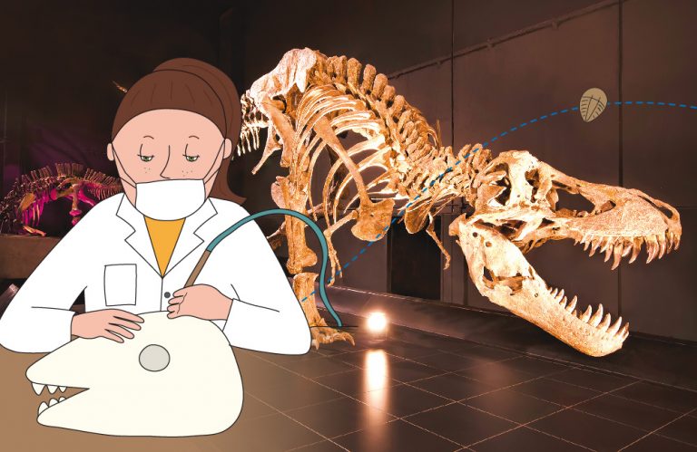 dinopolis presentacion 768x499