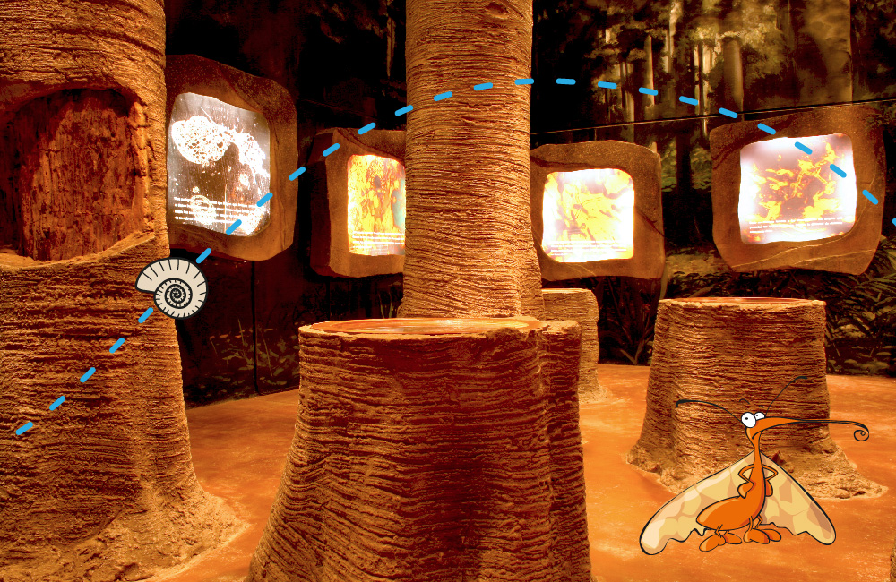 region ambarina centro 1