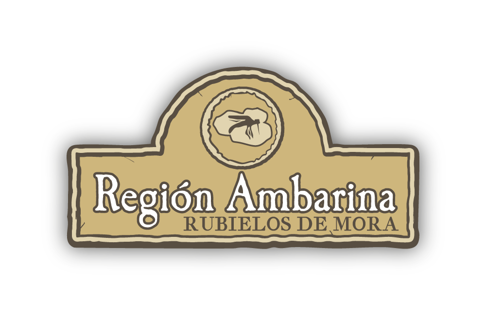 region ambarina logo