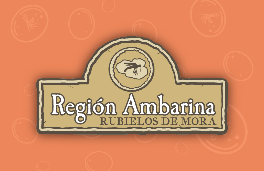 region ambarina portada 1