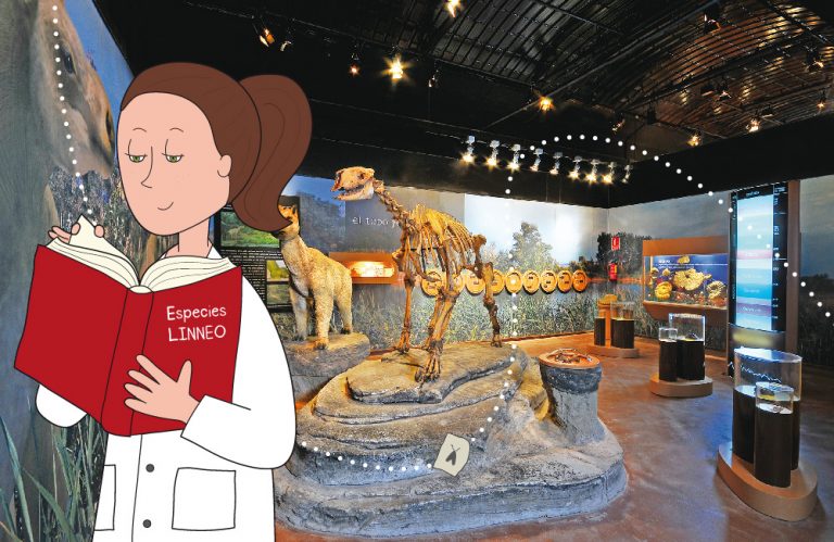 region ambarina presentacion 1 768x499