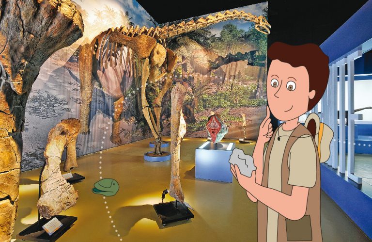 region ambarina presentacion 768x499