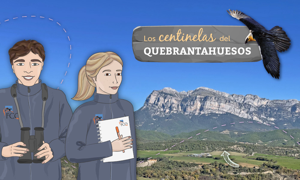«Los centinelas del quebrantahuesos». Pequevisitas Ecomuseo de Aínsa
