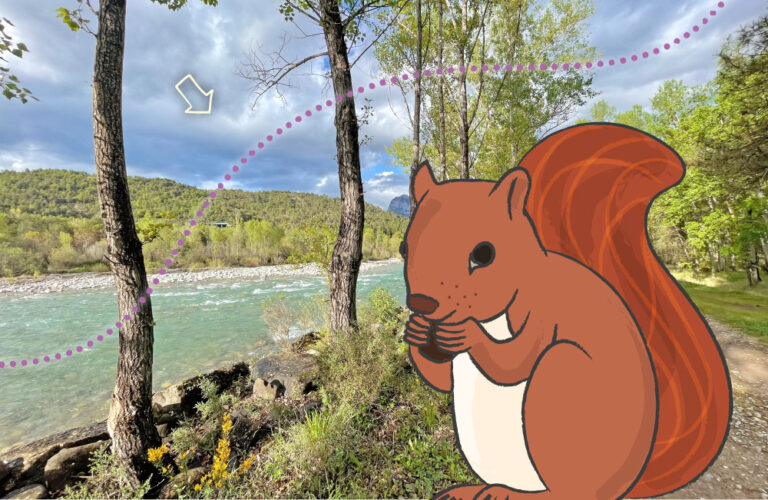 protectores bosque ainsa corredor verde rio ara presentacion 768x500