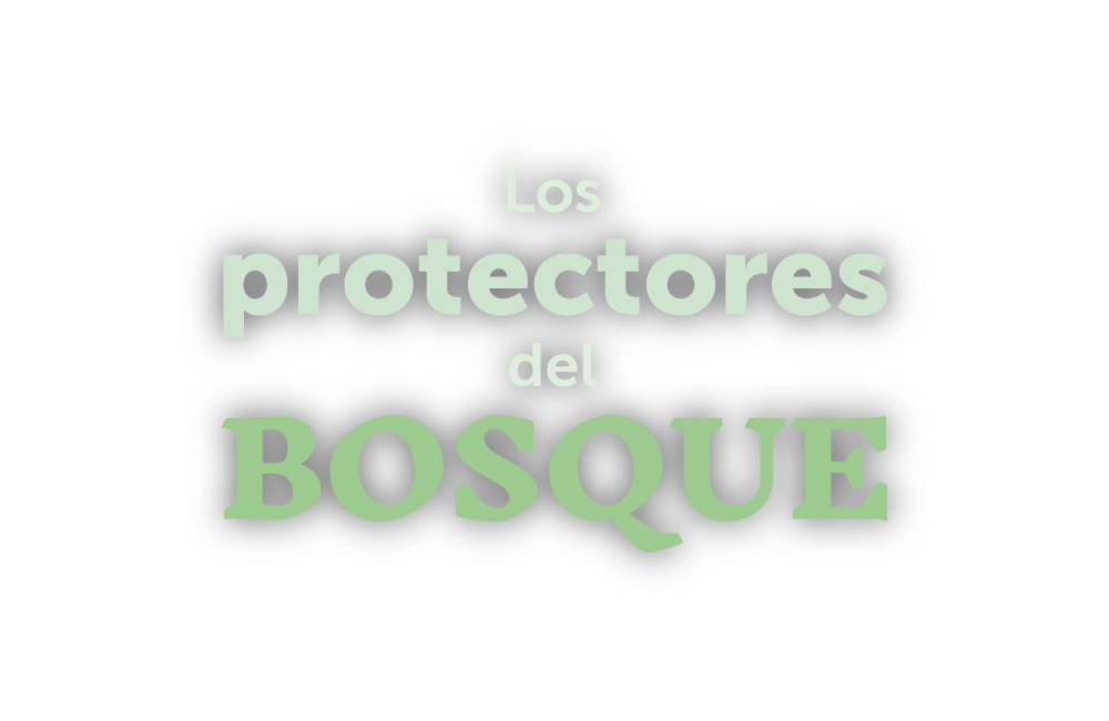 protectores bosque ainsa logo