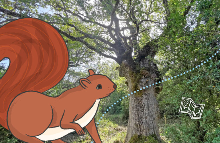 protectores bosque ainsa quejigos centenarios presentacion 768x500