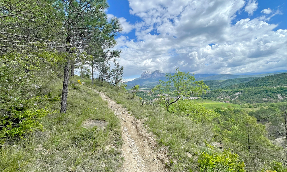 Pequevisitas «Los protectores del bosque». Sierra de Partara