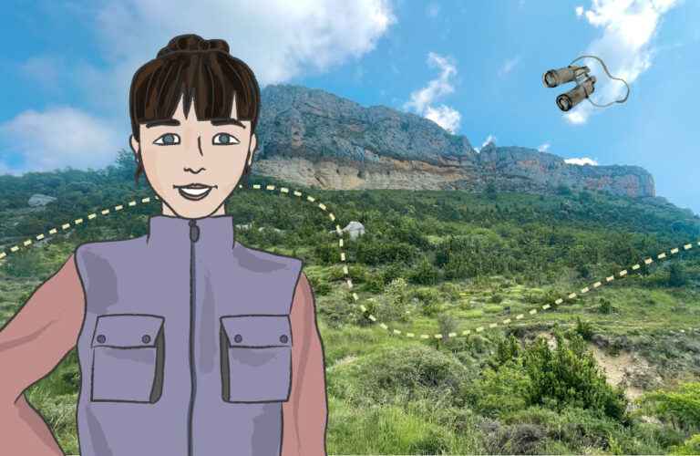 protectores bosque ainsa tozal surta presentacion 768x500