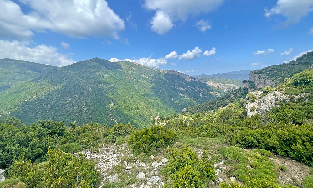 Pequevisitas «Los protectores del bosque». Tozal de Surta