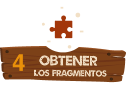 Paso 4: obtener los fragmentos